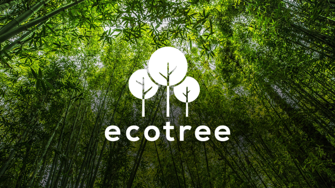 DRI partenaire d’EcoTree pour soutenir la gestion durable des forêts